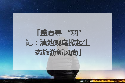 盛夏寻 “羽” 记：滇池观鸟掀起生态旅游新风尚