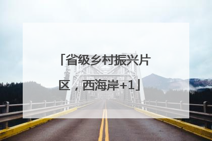 省级乡村振兴片区，西海岸+1