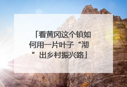 看黄冈这个镇如何用一片叶子“沏”出乡村振兴路