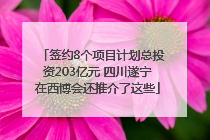 签约8个项目计划总投资203亿元 四川遂宁在西博会还推介了这些