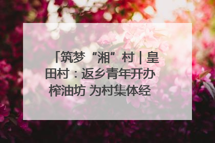 筑梦“湘”村｜皇田村：返乡青年开办榨油坊 为村集体经济“加油”