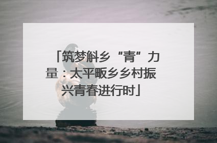 筑梦斛乡“青”力量：太平畈乡乡村振兴青春进行时