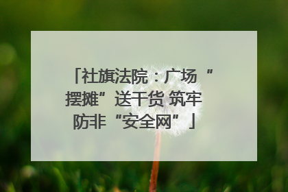 社旗法院：广场“摆摊”送干货 筑牢防非“安全网”