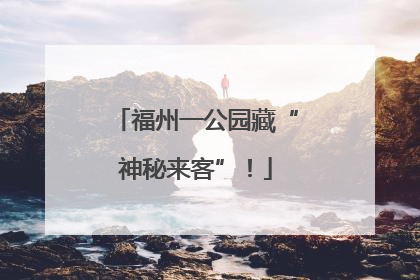 福州一公园藏“神秘来客”！
