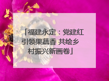 福建永定：党建红引领果蔬香 共绘乡村振兴新画卷