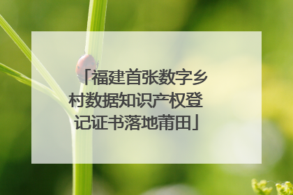 福建首张数字乡村数据知识产权登记证书落地莆田