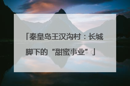秦皇岛王汉沟村：长城脚下的“甜蜜事业”
