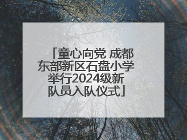 童心向党 成都东部新区石盘小学举行2024级新队员入队仪式