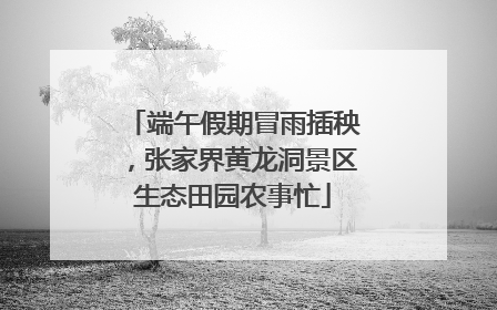 端午假期冒雨插秧，张家界黄龙洞景区生态田园农事忙