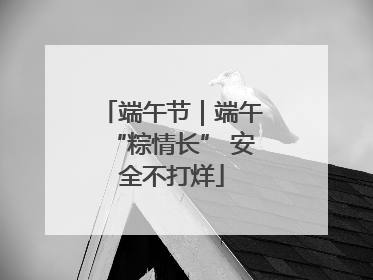 端午节｜端午“粽情长” 安全不打烊