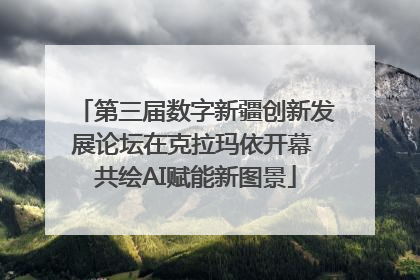 第三届数字新疆创新发展论坛在克拉玛依开幕 共绘AI赋能新图景