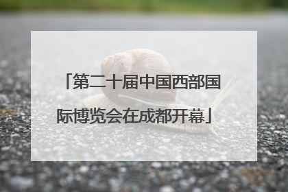 第二十届中国西部国际博览会在成都开幕