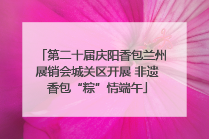 第二十届庆阳香包兰州展销会城关区开展 非遗香包“粽”情端午