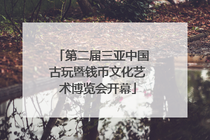 第二届三亚中国古玩暨钱币文化艺术博览会开幕
