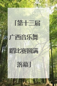 第十三届广西音乐舞蹈比赛圆满落幕