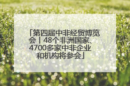 第四届中非经贸博览会丨48个非洲国家、4700多家中非企业和机构将参会