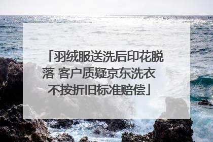 羽绒服送洗后印花脱落 客户质疑京东洗衣不按折旧标准赔偿