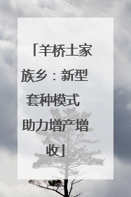 羊桥土家族乡：新型套种模式 助力增产增收