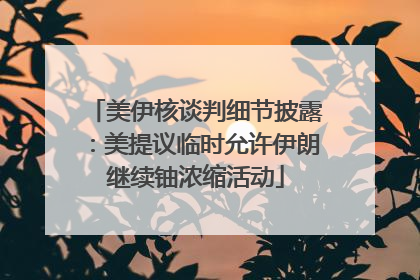 美伊核谈判细节披露：美提议临时允许伊朗继续铀浓缩活动