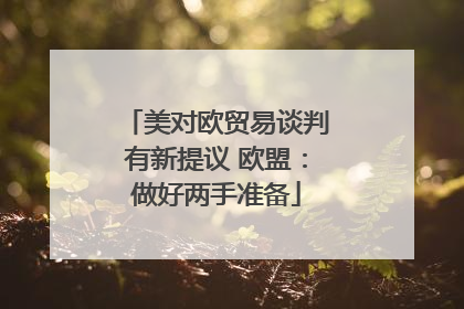 美对欧贸易谈判有新提议 欧盟：做好两手准备