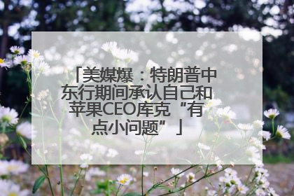 美媒爆：特朗普中东行期间承认自己和苹果CEO库克“有点小问题”