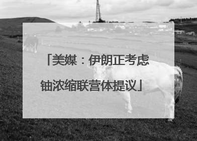 美媒：伊朗正考虑铀浓缩联营体提议