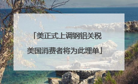 美正式上调钢铝关税 美国消费者将为此埋单