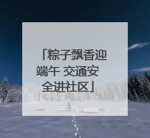 粽子飘香迎端午 交通安全进社区