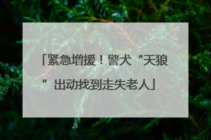 紧急增援！警犬“天狼”出动找到走失老人