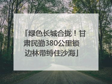 绿色长城合拢！甘肃民勤380公里锁边林带缚住沙海