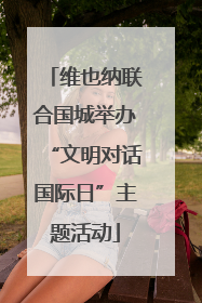 维也纳联合国城举办“文明对话国际日”主题活动