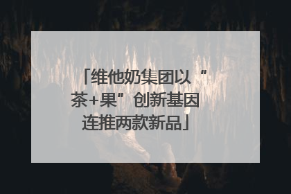 维他奶集团以“茶+果”创新基因连推两款新品
