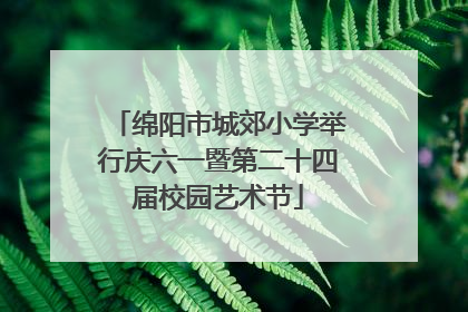 绵阳市城郊小学举行庆六一暨第二十四届校园艺术节