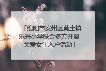 绵阳市安州区黄土镇乐兴小学联合多方开展关爱女生入户活动