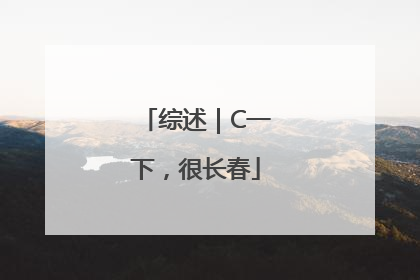 综述｜C一下，很长春