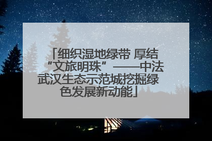 细织湿地绿带 厚结“文旅明珠”——中法武汉生态示范城挖掘绿色发展新动能