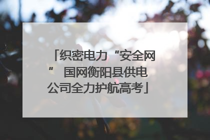 织密电力“安全网” 国网衡阳县供电公司全力护航高考