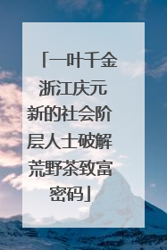 一叶千金 浙江庆元新的社会阶层人士破解荒野茶致富密码