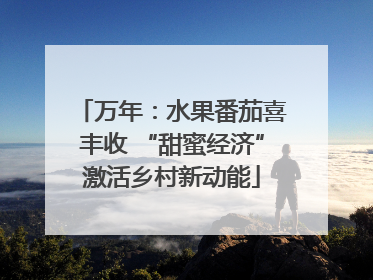 万年：水果番茄喜丰收 “甜蜜经济”激活乡村新动能