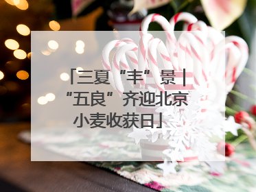 三夏“丰”景｜“五良”齐迎北京小麦收获日