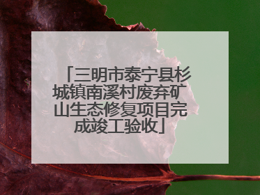 三明市泰宁县杉城镇南溪村废弃矿山生态修复项目完成竣工验收