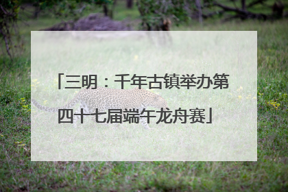 三明：千年古镇举办第四十七届端午龙舟赛