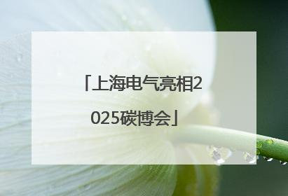 上海电气亮相2025碳博会