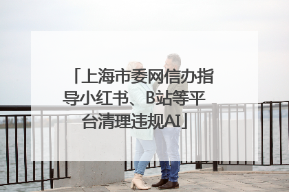 上海市委网信办指导小红书、B站等平台清理违规AI