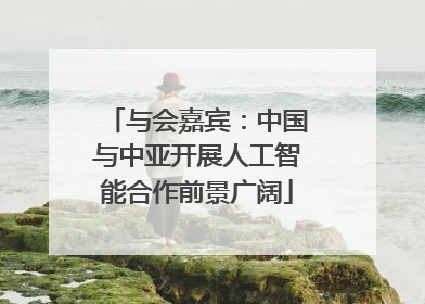 与会嘉宾：中国与中亚开展人工智能合作前景广阔