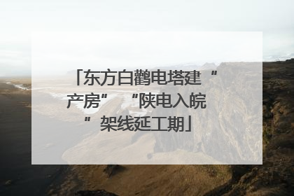 东方白鹳电塔建“产房” “陕电入皖”架线延工期