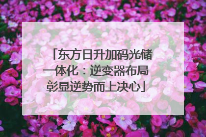 东方日升加码光储一体化：逆变器布局彰显逆势而上决心