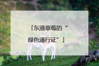 东港草莓的“绿色通行证”