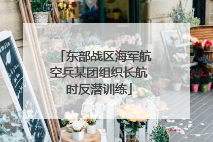 东部战区海军航空兵某团组织长航时反潜训练