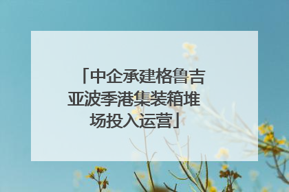 中企承建格鲁吉亚波季港集装箱堆场投入运营